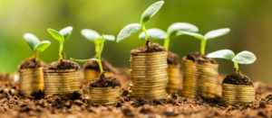 Pack Jardin : assurance jardin, plantations et mobilier extérieur